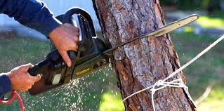Best Lawn Irrigation Installation and Maintenance  in Makaha, HI